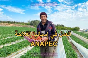 العمل في إسبانيا الفلاحة 2024 ANAPEC