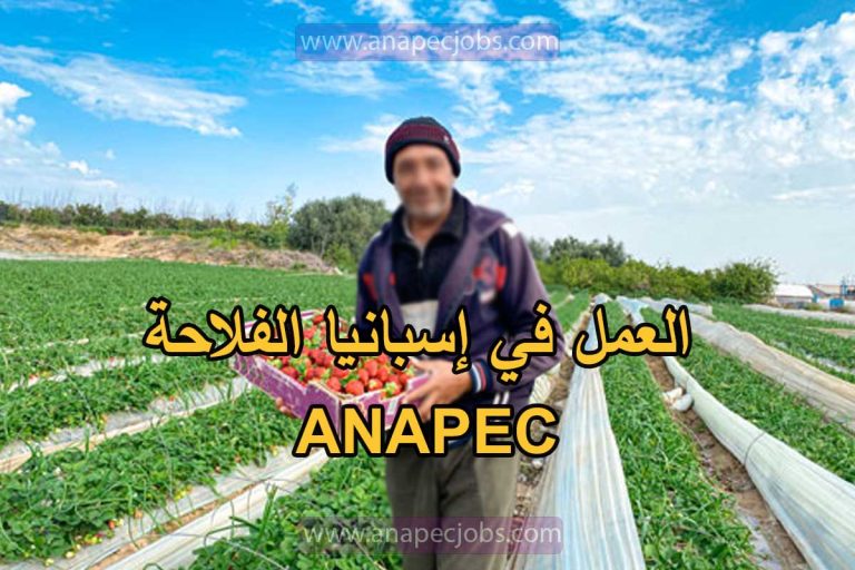 العمل في إسبانيا الفلاحة 2024 ANAPEC