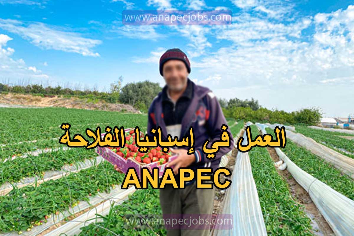 العمل في إسبانيا الفلاحة 2024 ANAPEC